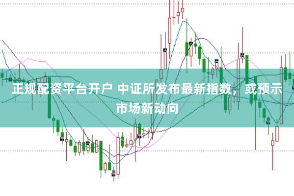 正规配资平台开户 中证所发布最新指数，或预示市场新动向