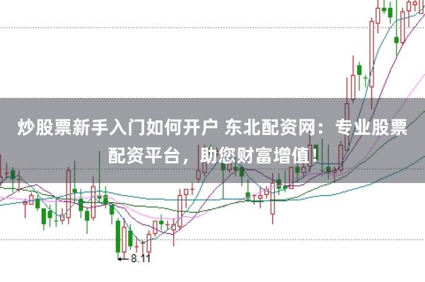 炒股票新手入门如何开户 东北配资网：专业股票配资平台，助您财富增值！