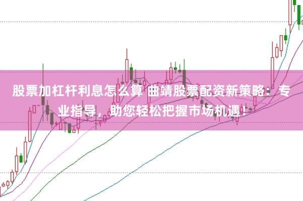 股票加杠杆利息怎么算 曲靖股票配资新策略：专业指导，助您轻松把握市场机遇！