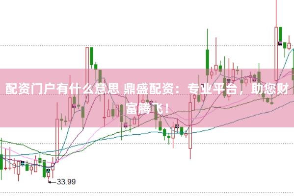 配资门户有什么意思 鼎盛配资：专业平台，助您财富腾飞！