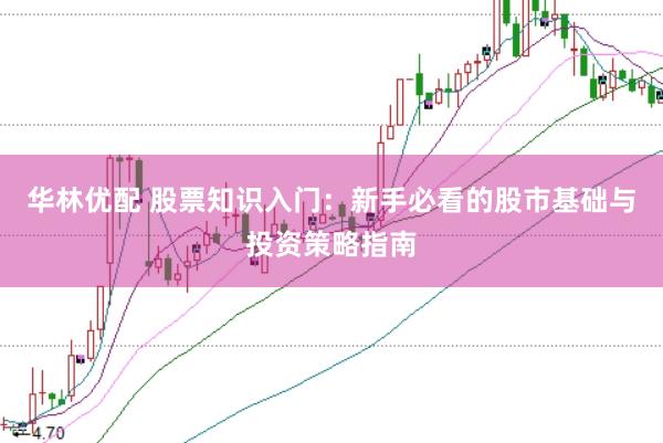 华林优配 股票知识入门：新手必看的股市基础与投资策略指南